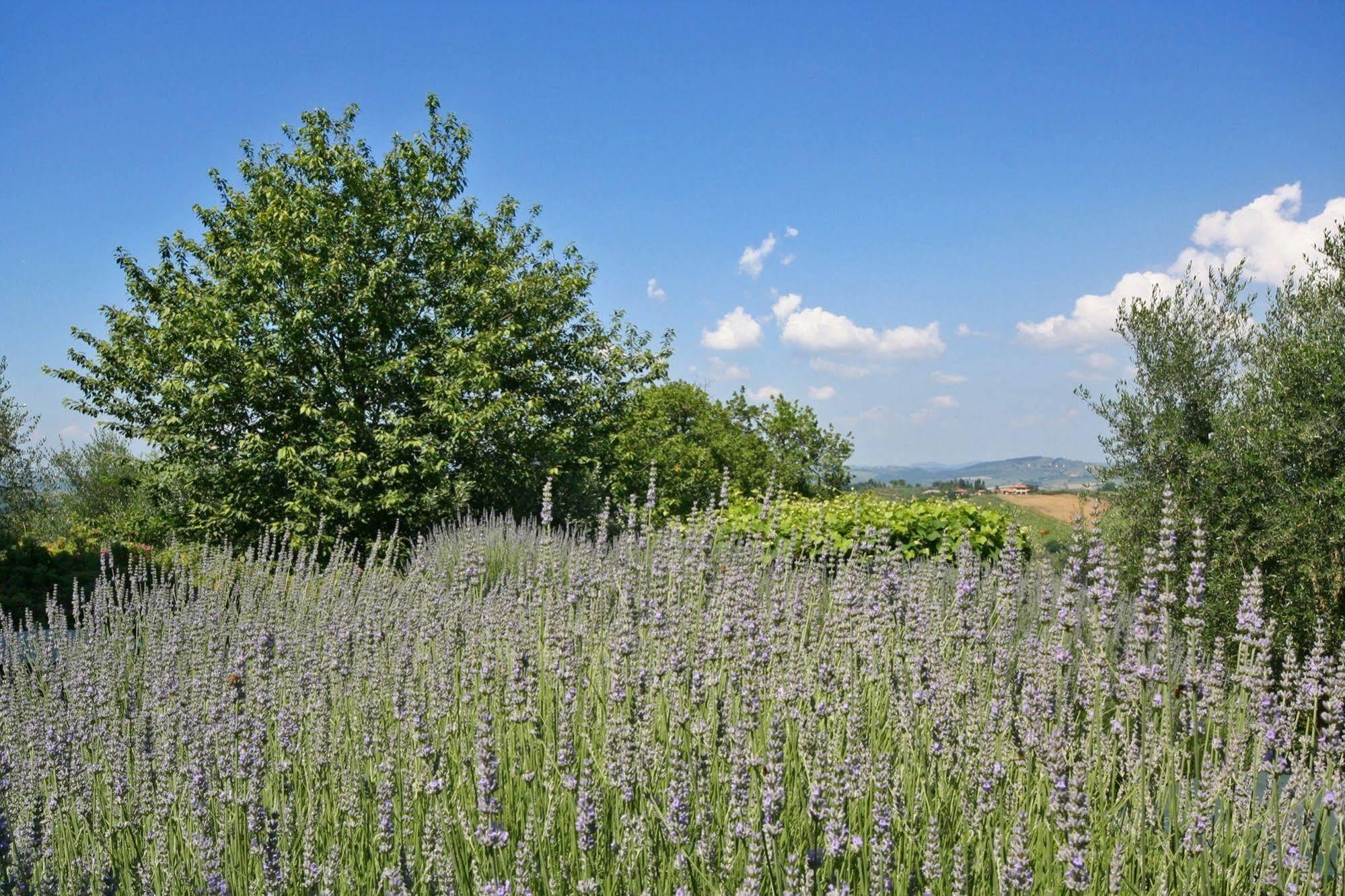 Podere Il Pino Poggibonsi Kültér fotó